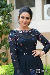 Rakul Preet Singh at Sarrainodu Movie Release Press Meet